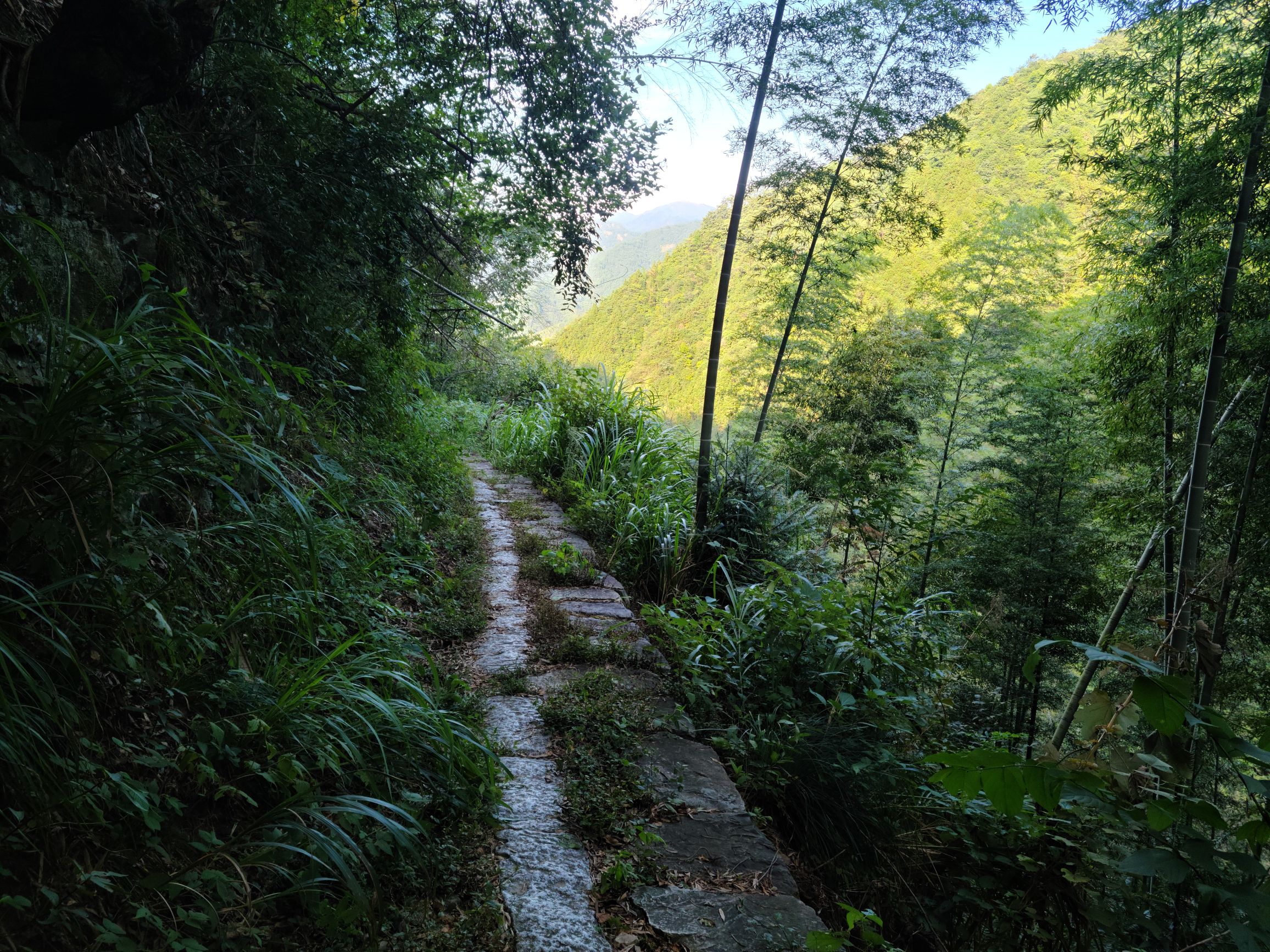 旌歙古道旅行图片 1