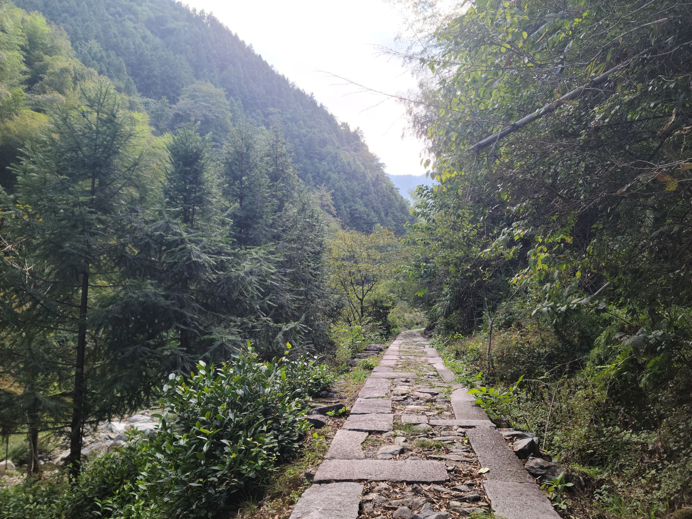 旌歙古道旅行图片 2