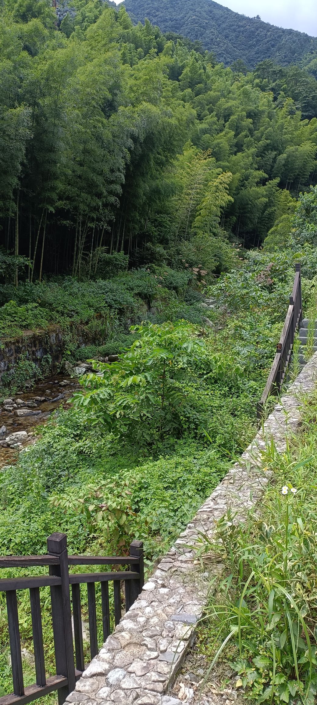 旌歙古道旅行图片 3
