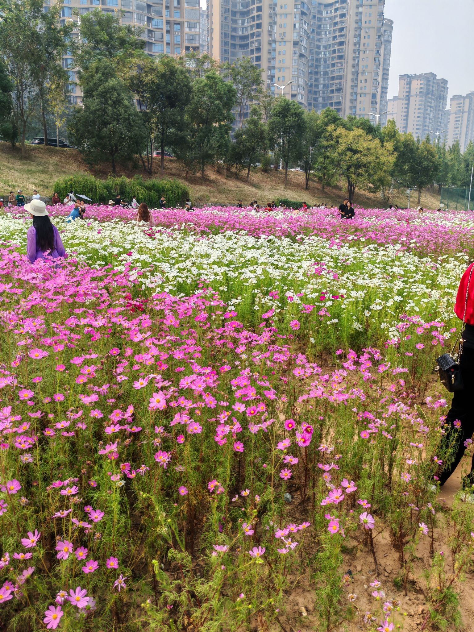 株洲航模广场旅行图片 3