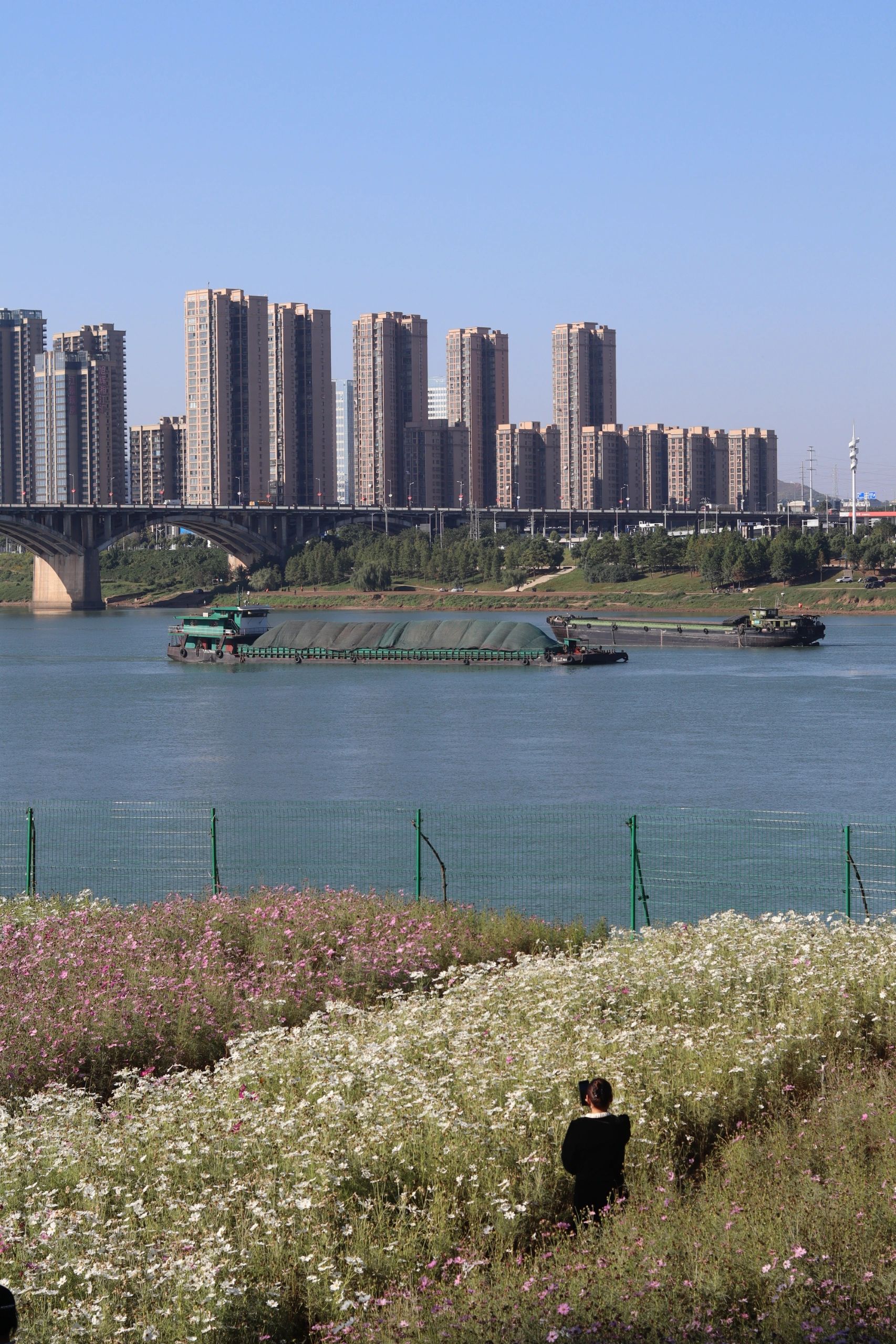 株洲航模广场旅行图片 3