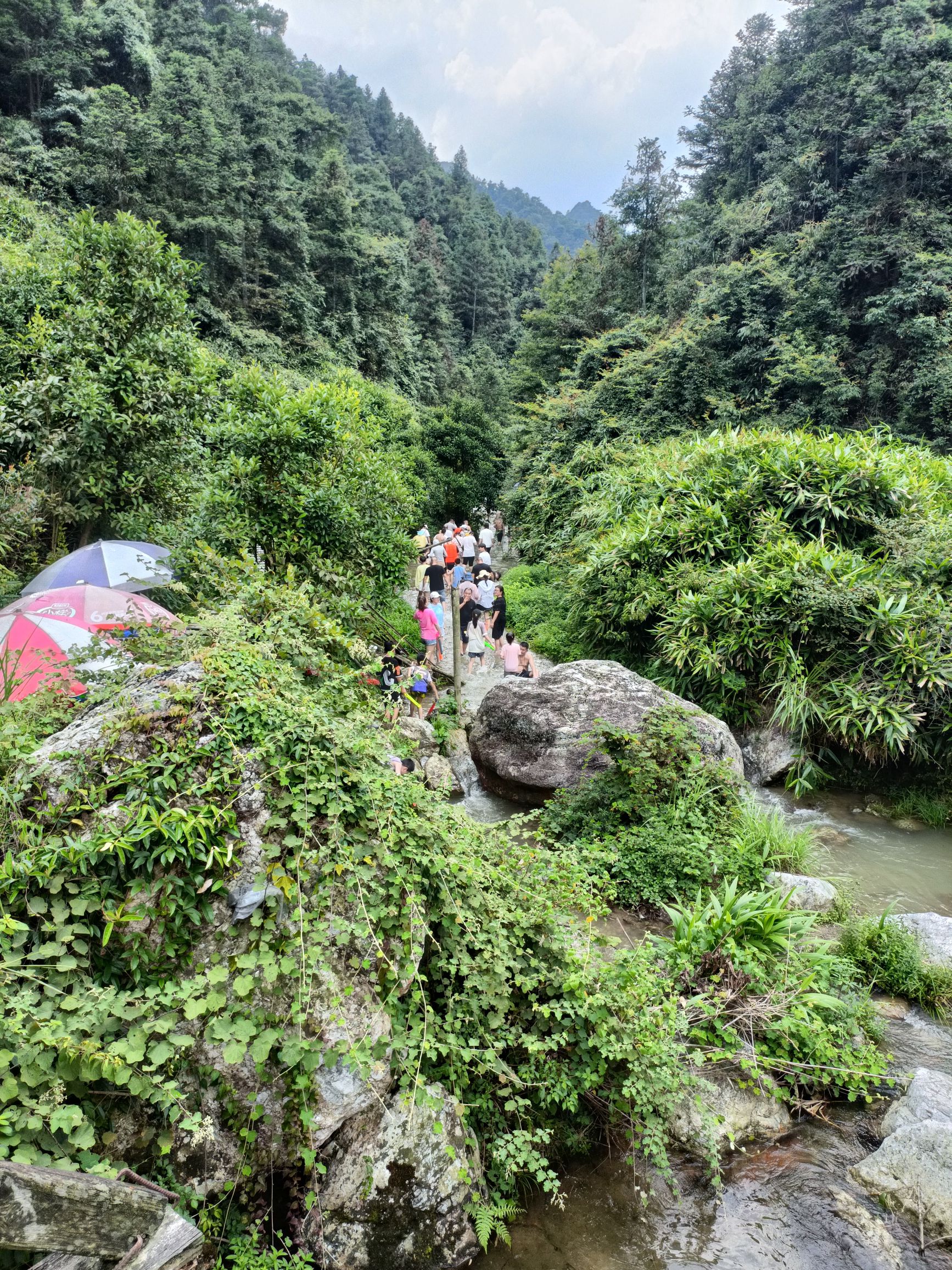 粗石雾峡
