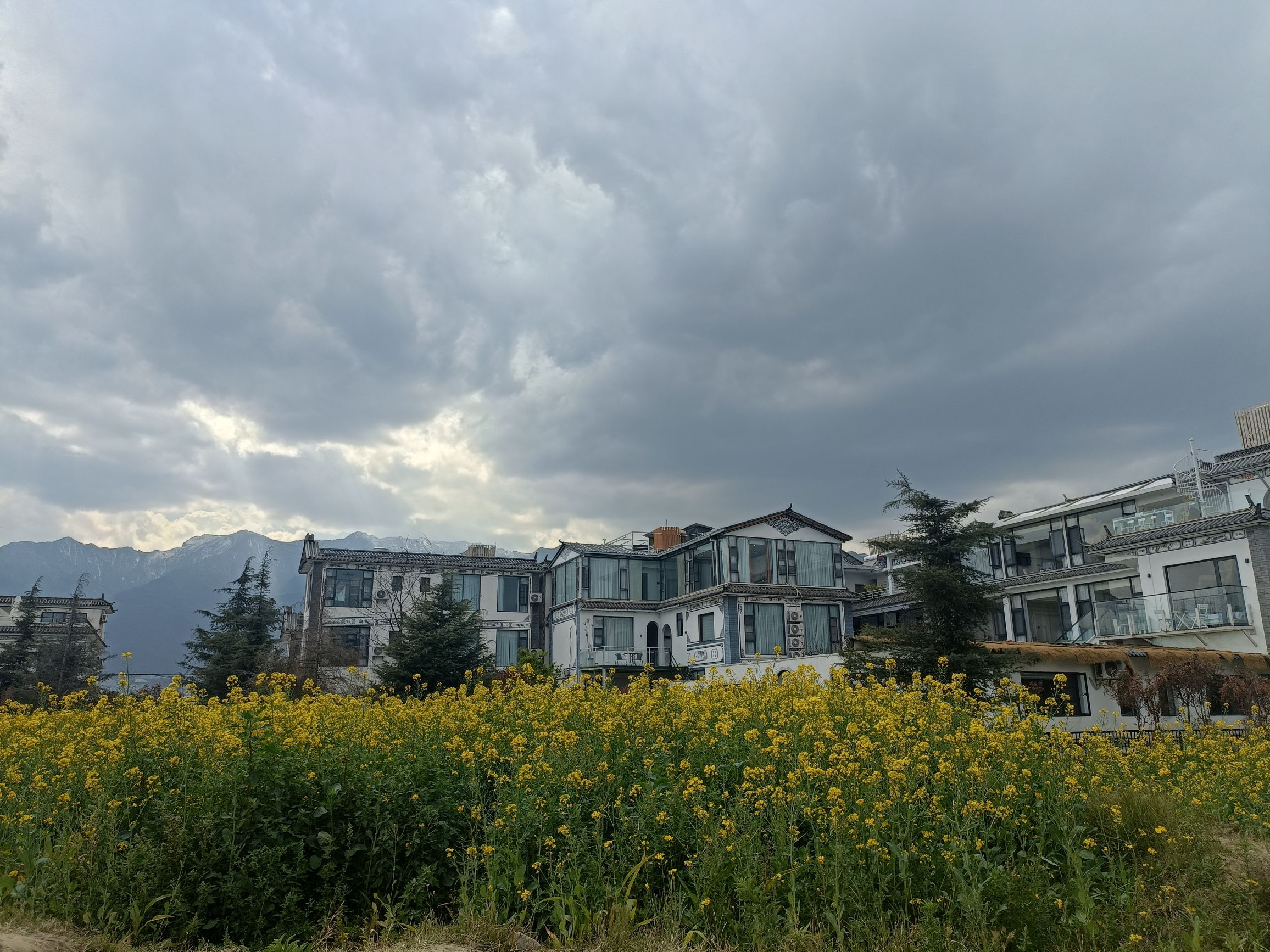 大理市才村完小