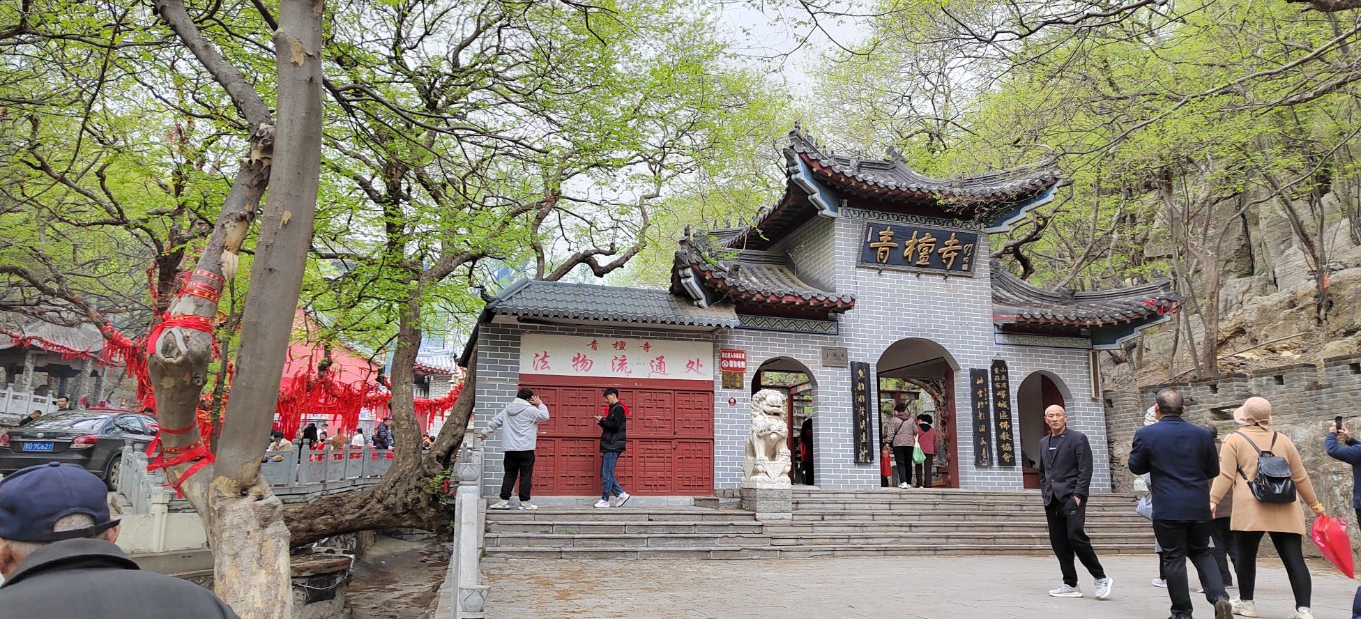 山东峄城古石榴国家森林公园旅行图片 3
