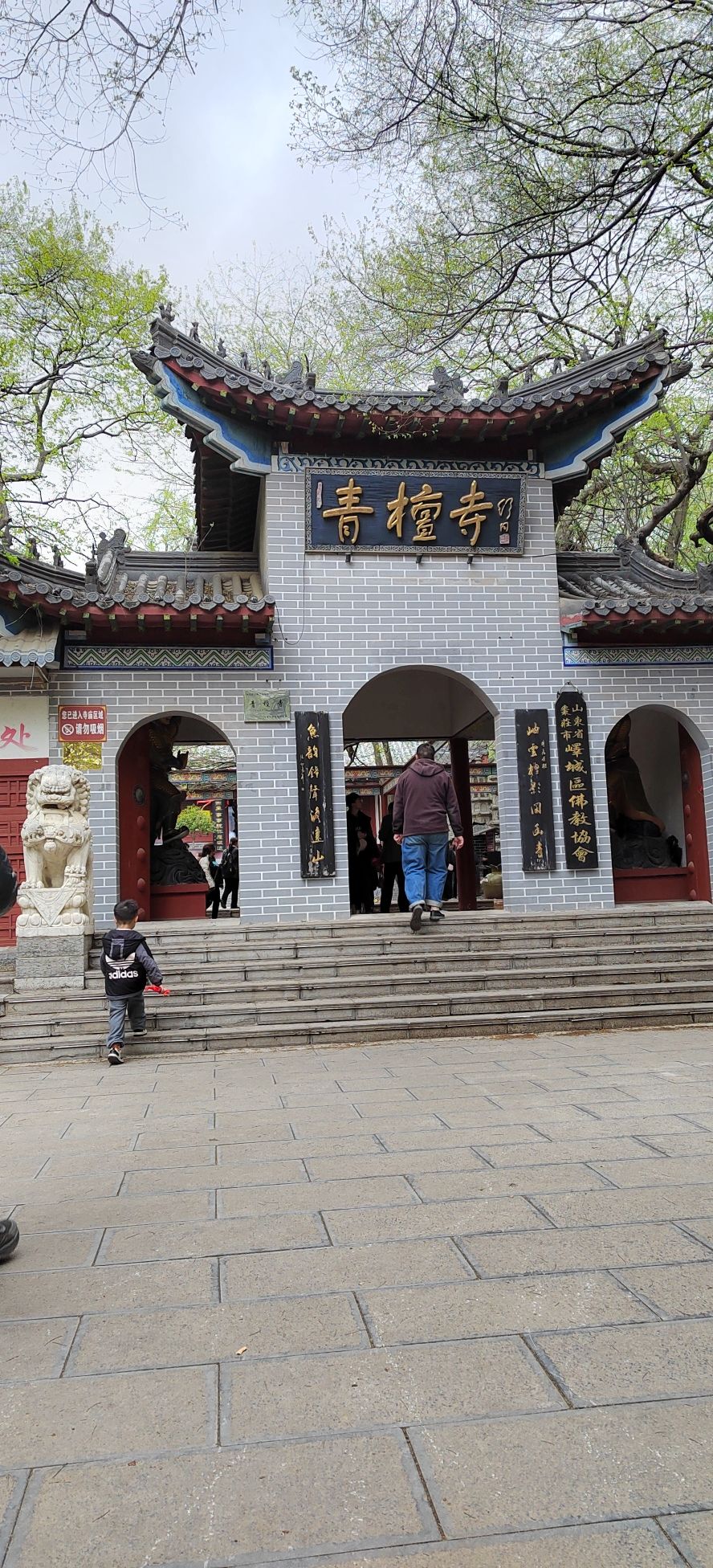 山东峄城古石榴国家森林公园旅行图片 1