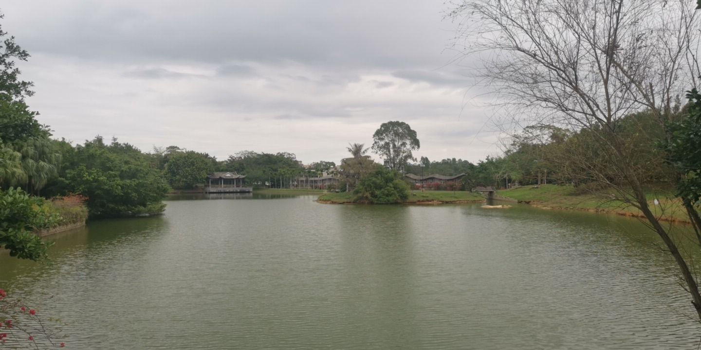 冼太夫人故里文化旅游景区旅行图片 2
