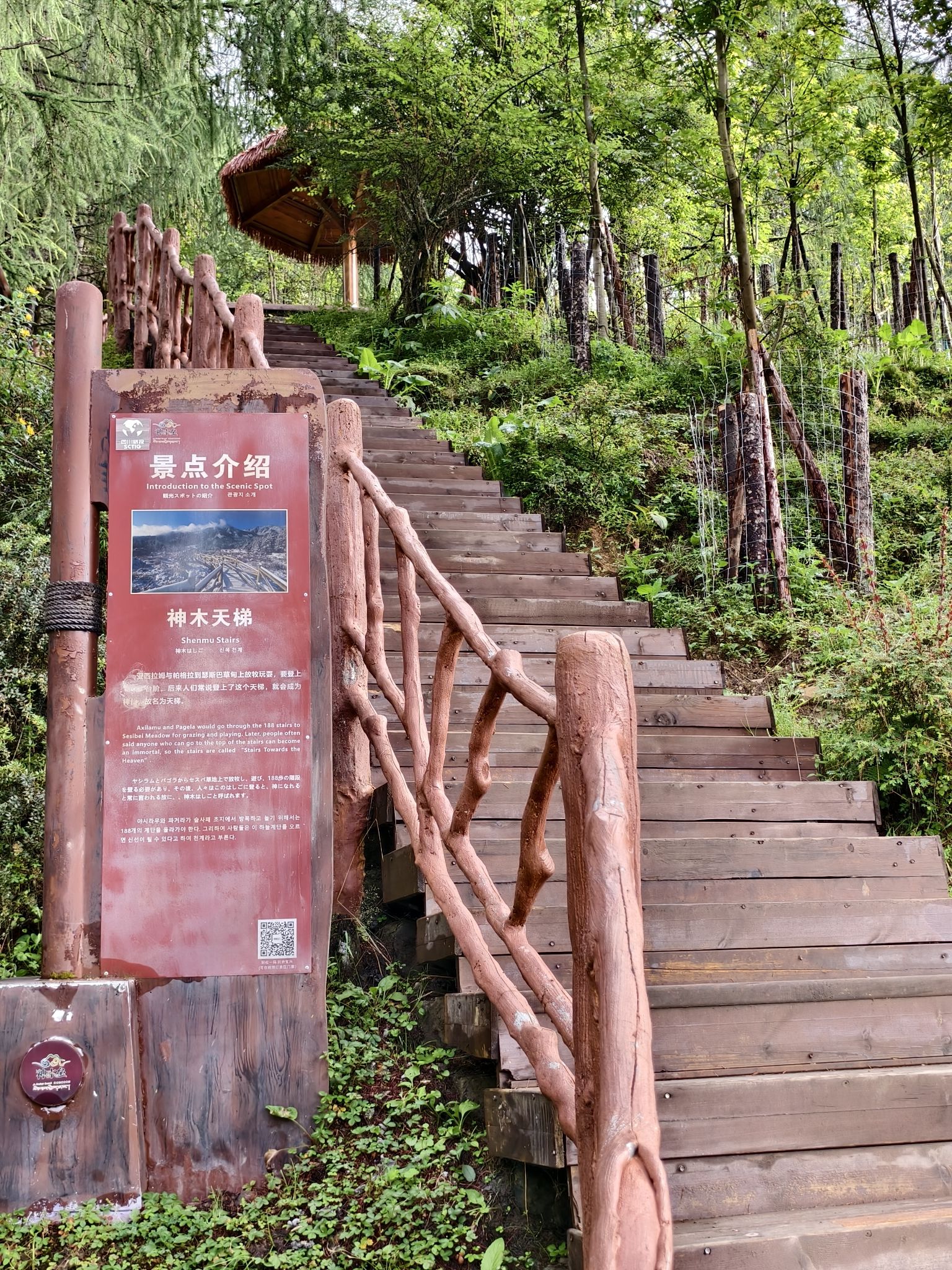 硗碛藏寨神木垒景区-神木天梯