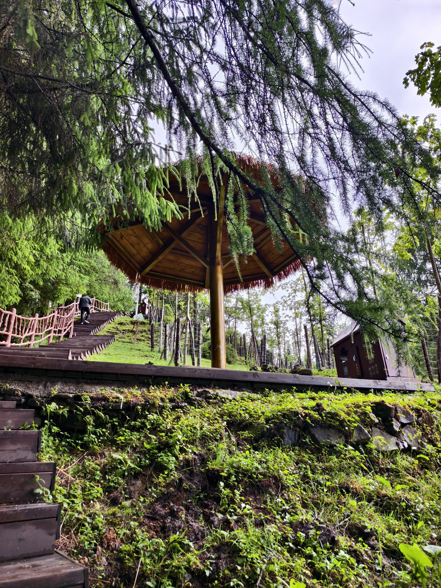 硗碛藏寨神木垒景区-神木天梯