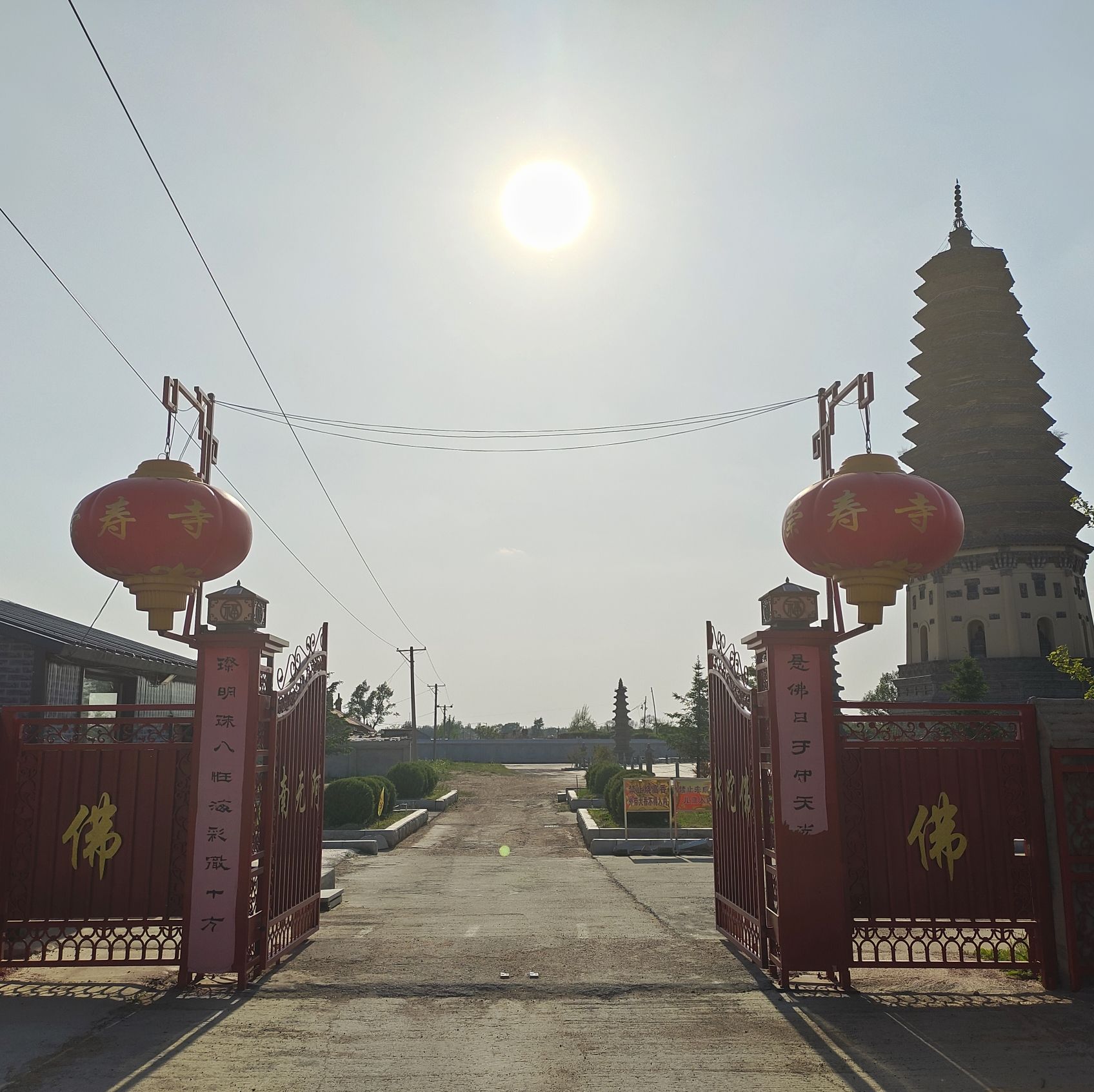 崇寿寺塔旅行图片 1