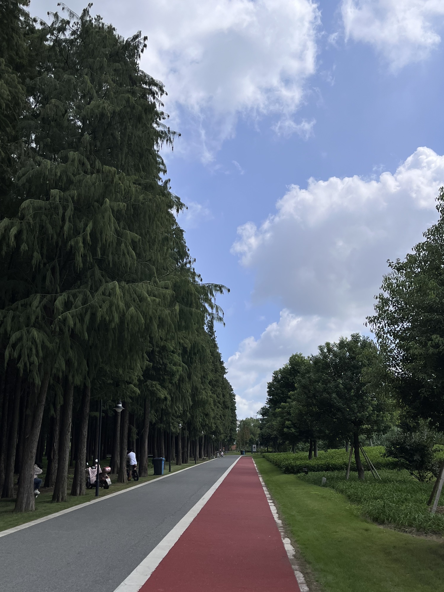 天长市荭草湖湿地公园南园