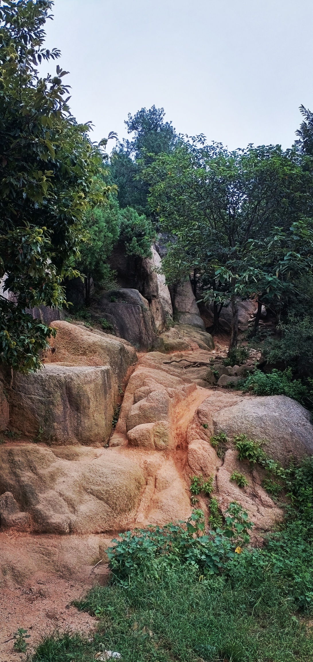 圣佛山旅行图片 3