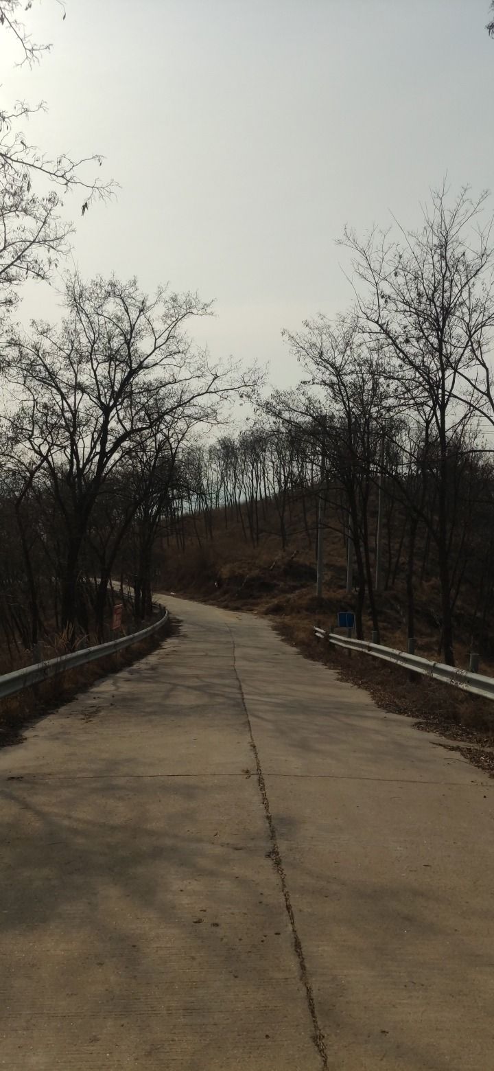 圣佛山旅行图片 1