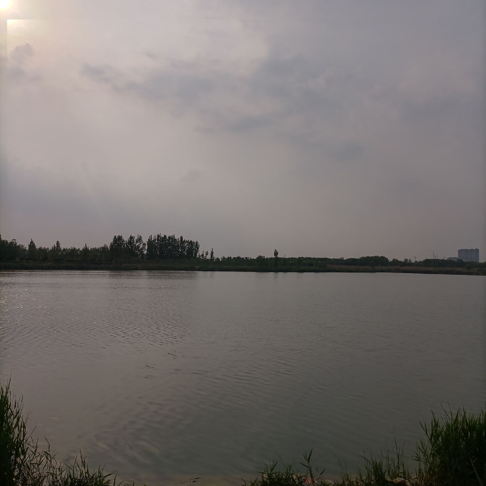 龙湖湿地旅行图片 3
