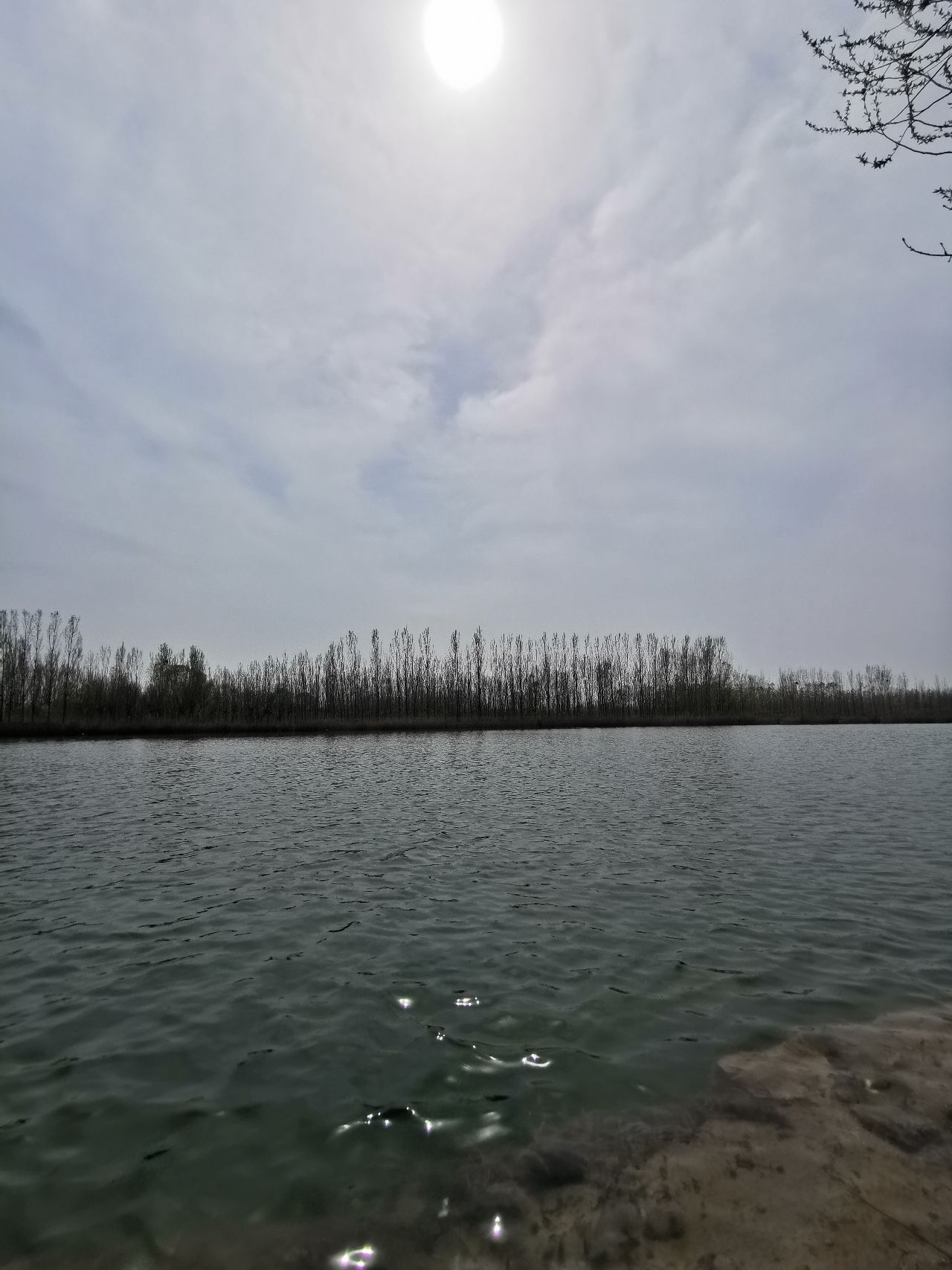龙湖湿地旅行图片 2