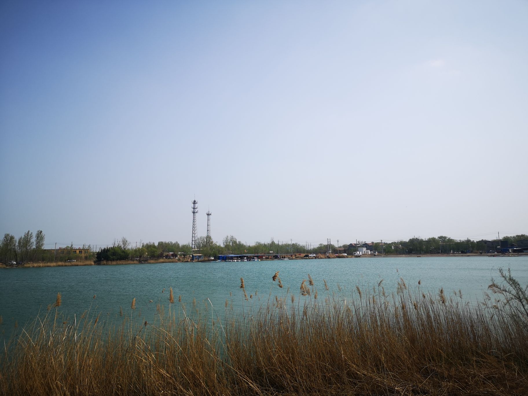 龙湖湿地旅行图片 3