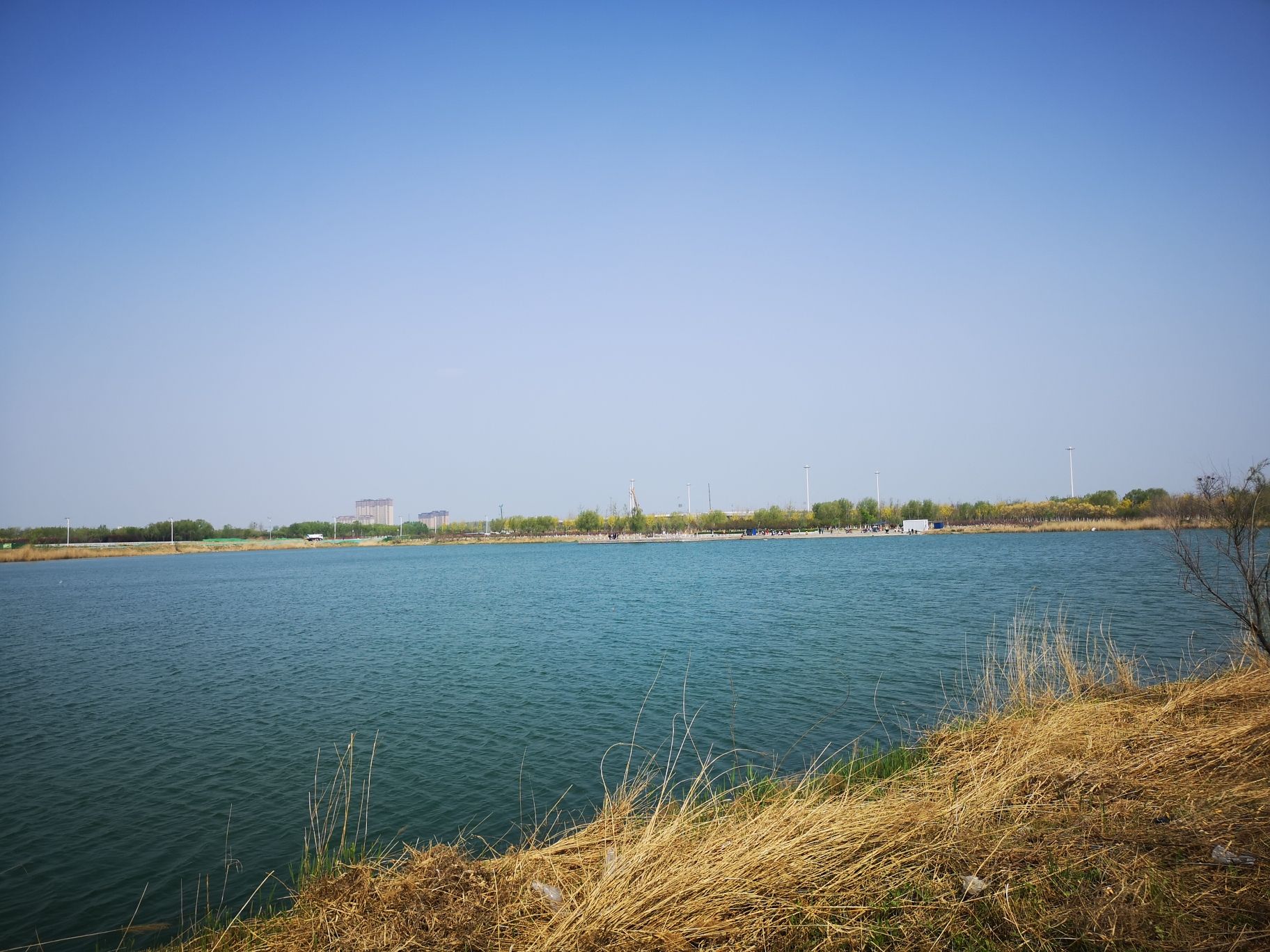 龙湖湿地旅行图片 2