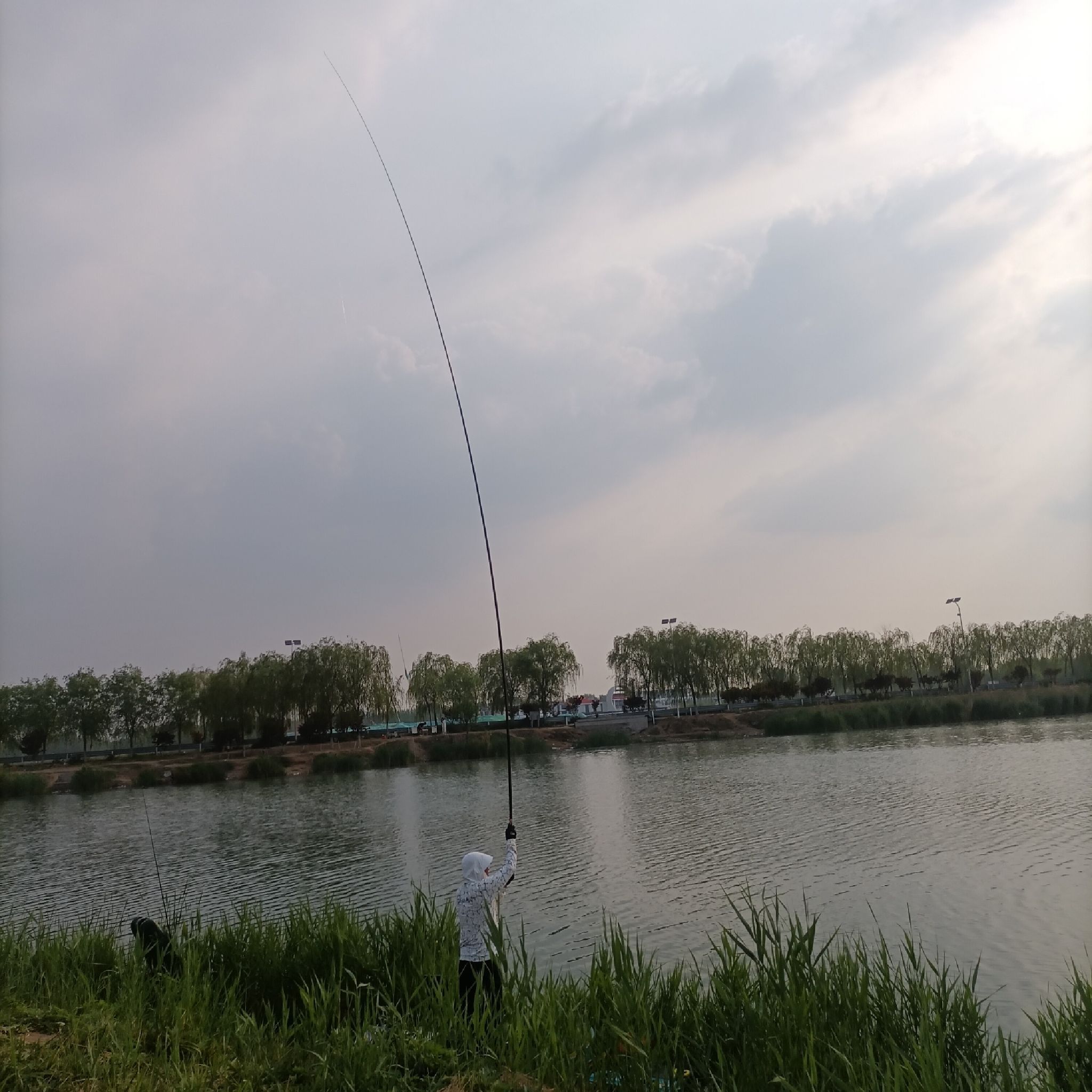 龙湖湿地旅行图片 1