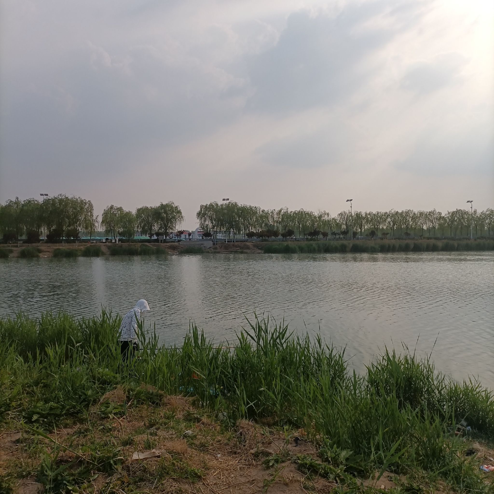 龙湖湿地旅行图片 2