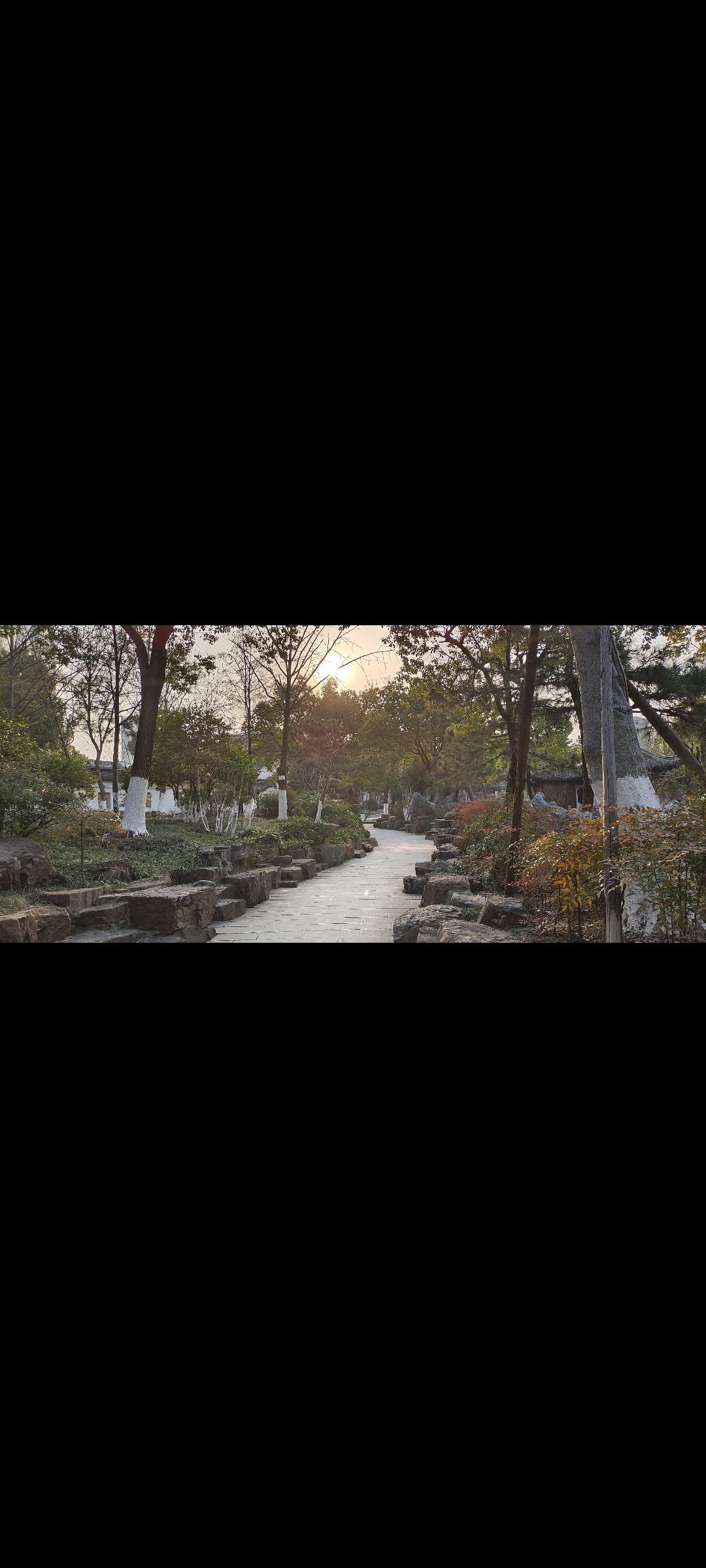 墨荷园(不对外开放)旅行图片 3