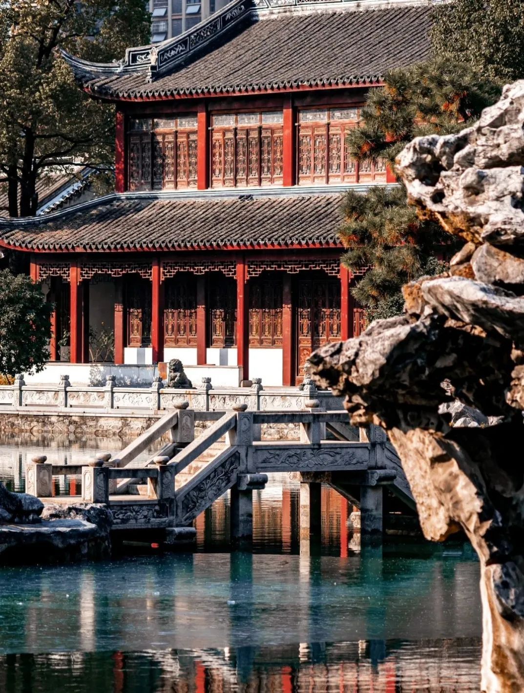 墨荷园(不对外开放)旅行图片 1