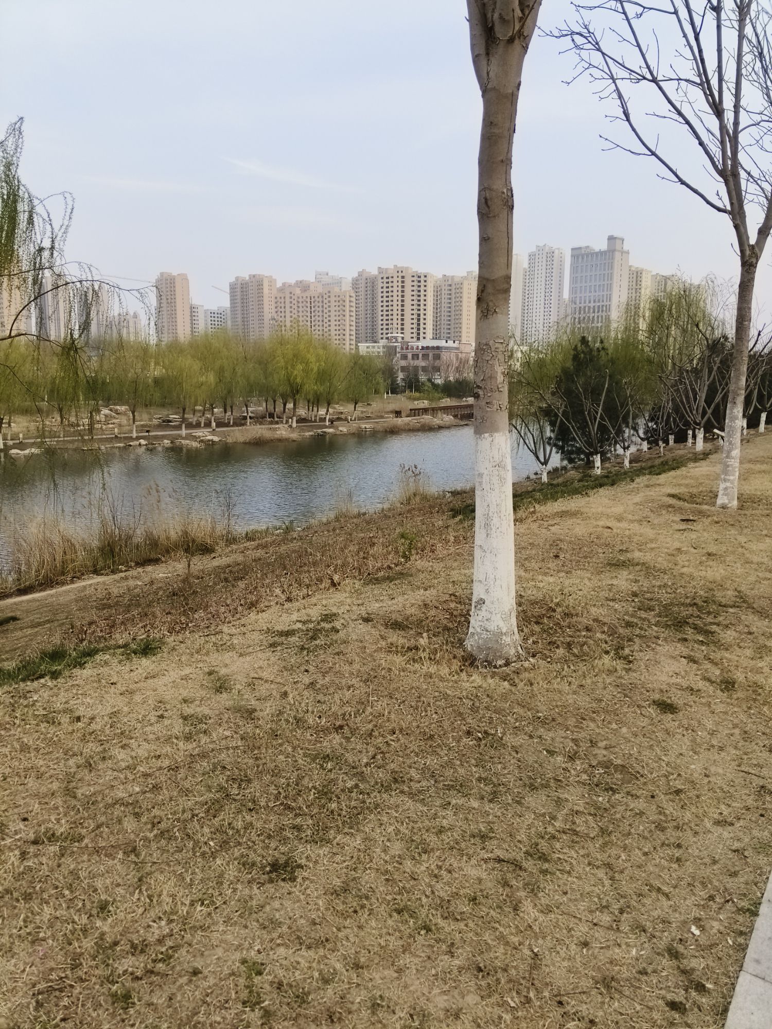 环堤公园旅行图片 3