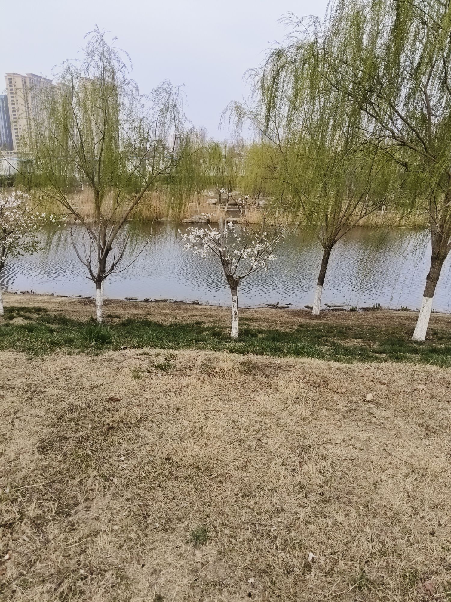 环堤公园旅行图片 2