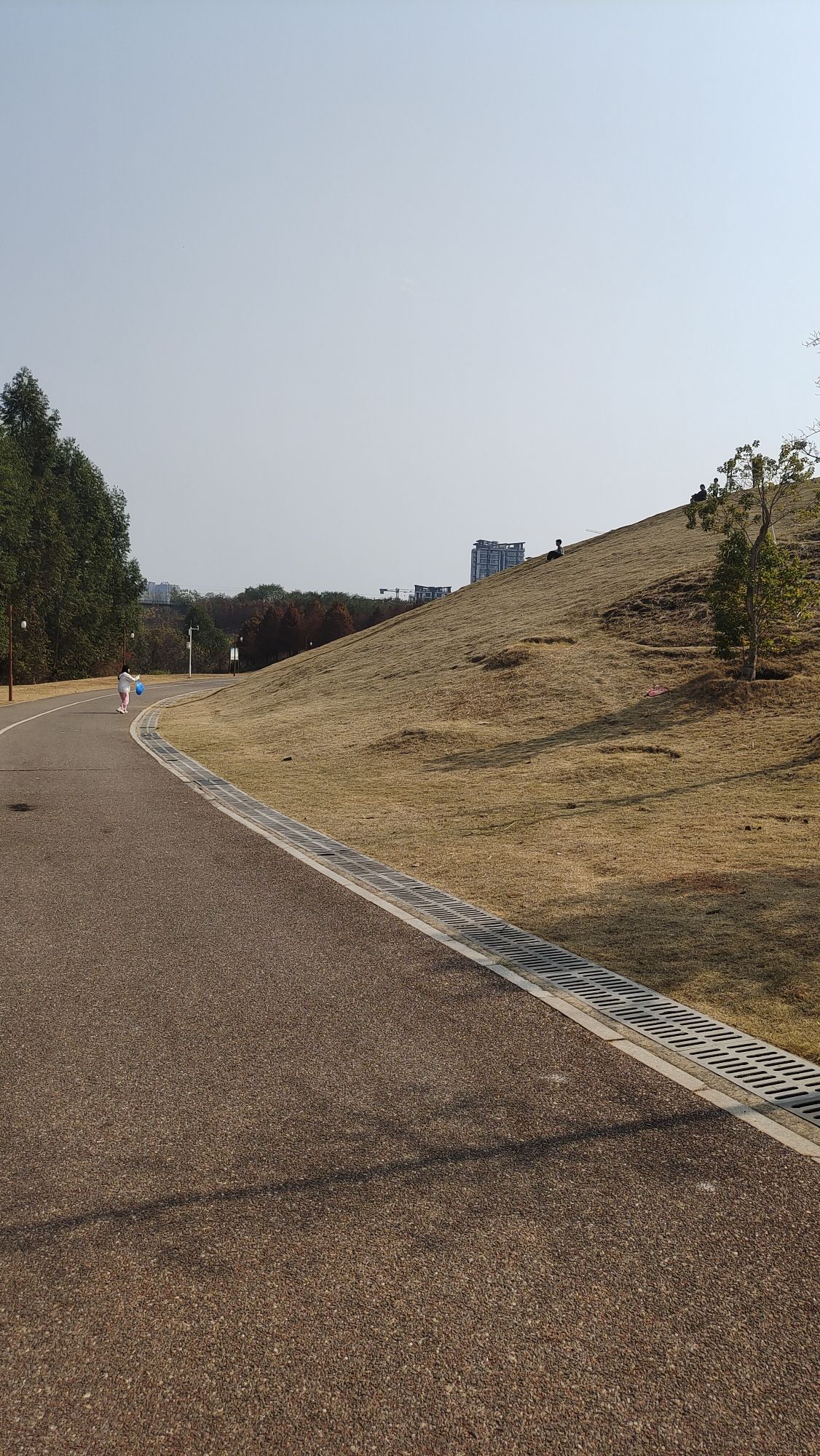 北湖村文化广场旅行图片 1