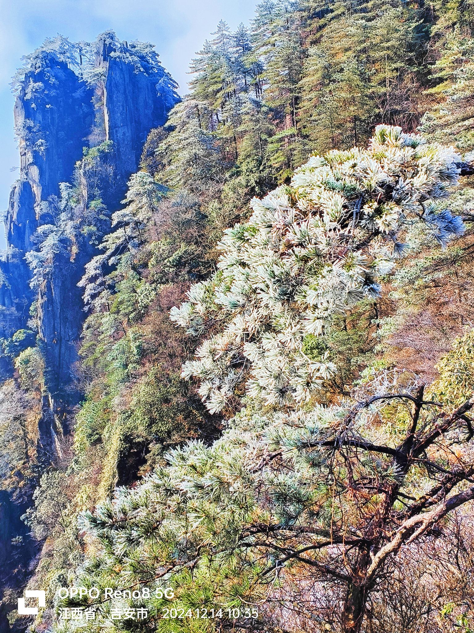 羊狮慕风景区旅行图片 3