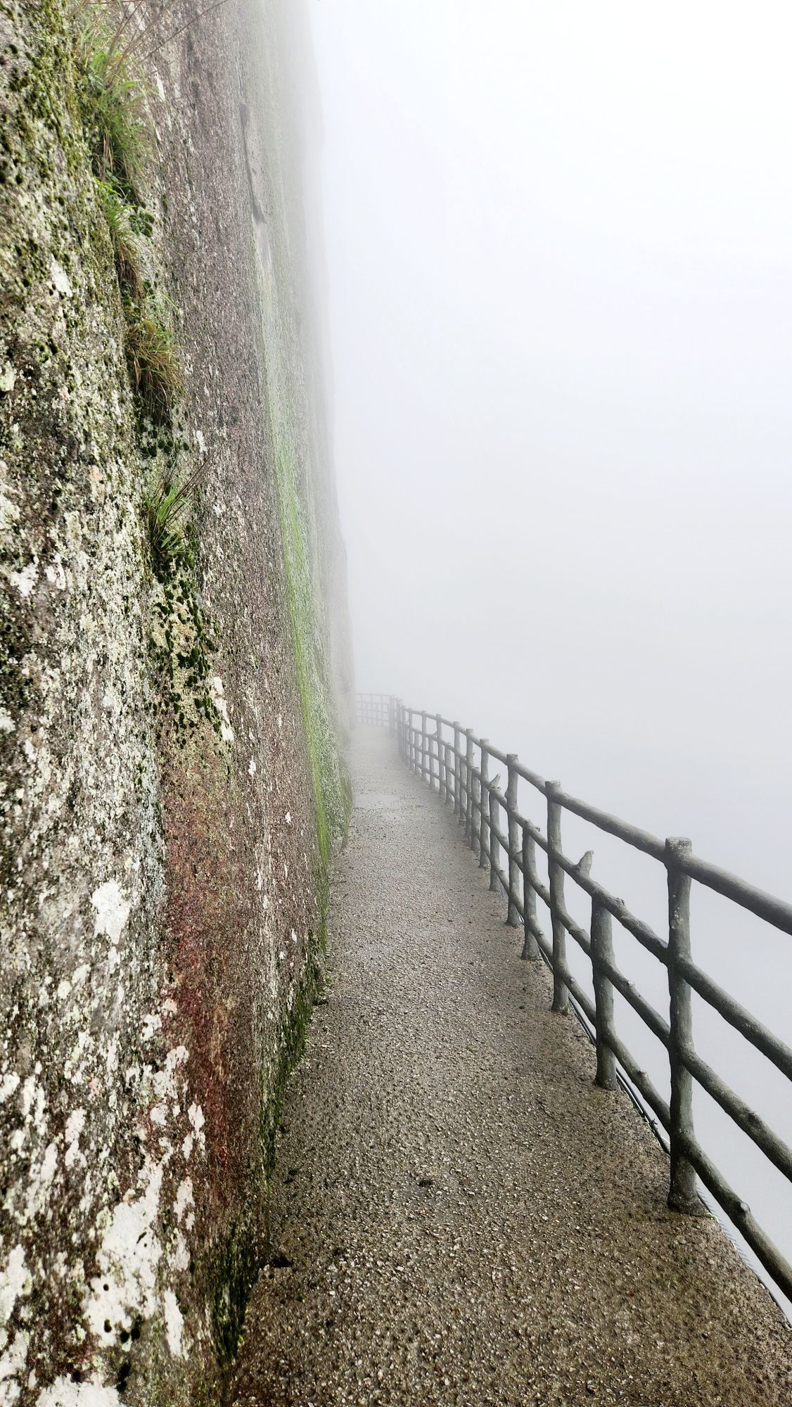 羊狮慕风景区旅行图片 3