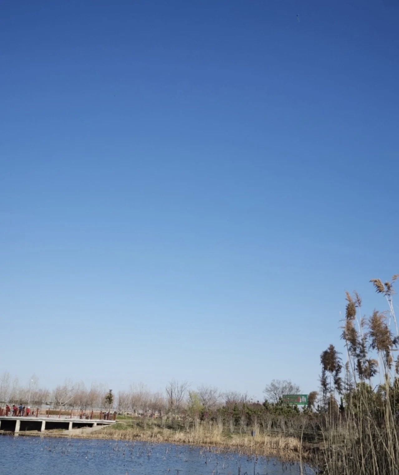 滕州市龙泉植物园旅行图片 2