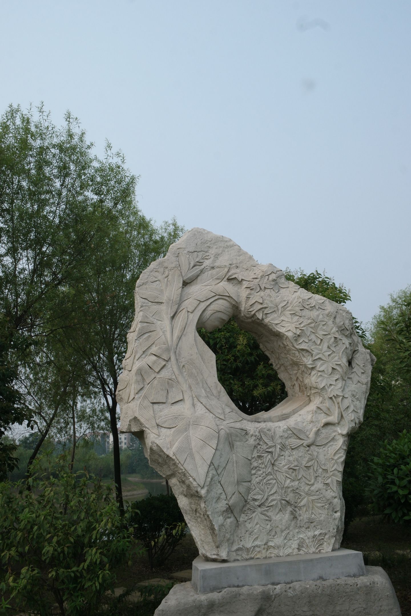 滕州市龙泉植物园旅行图片 1