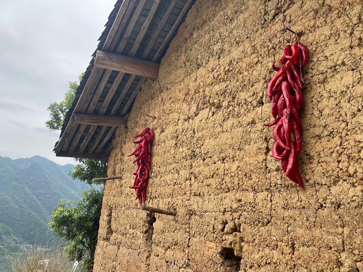七彩长虹台回山旅行图片 2