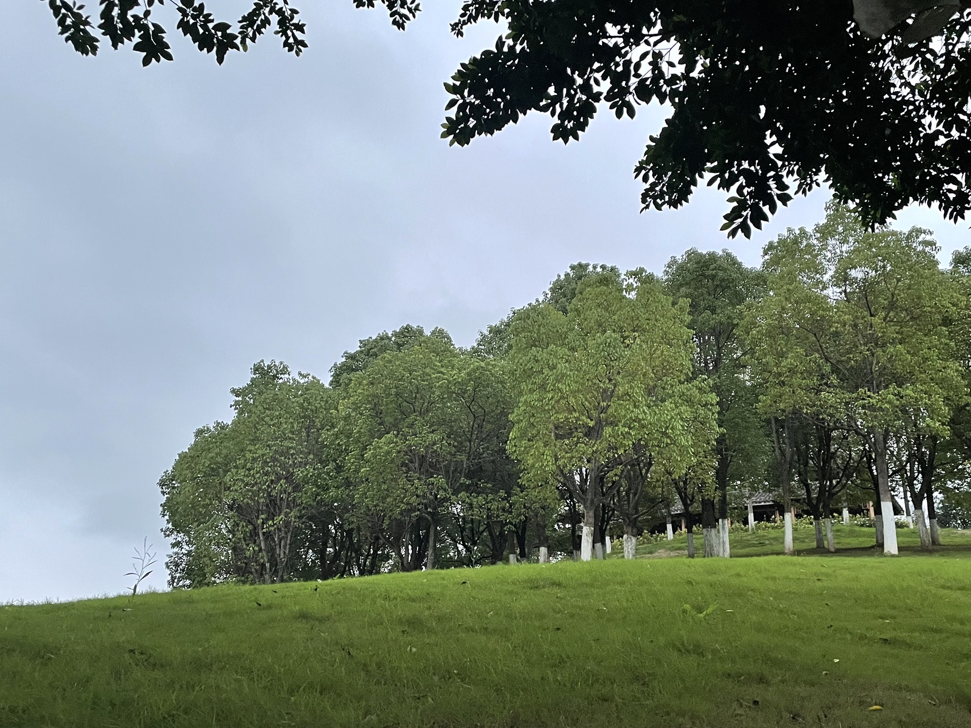 圣迹公园旅行图片 1