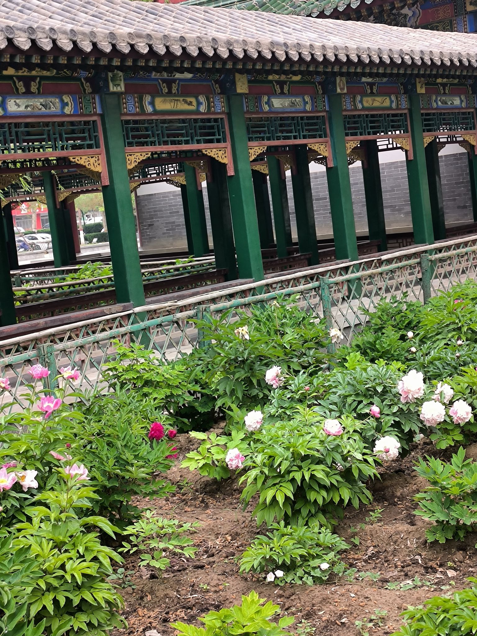香园公园旅行图片 2