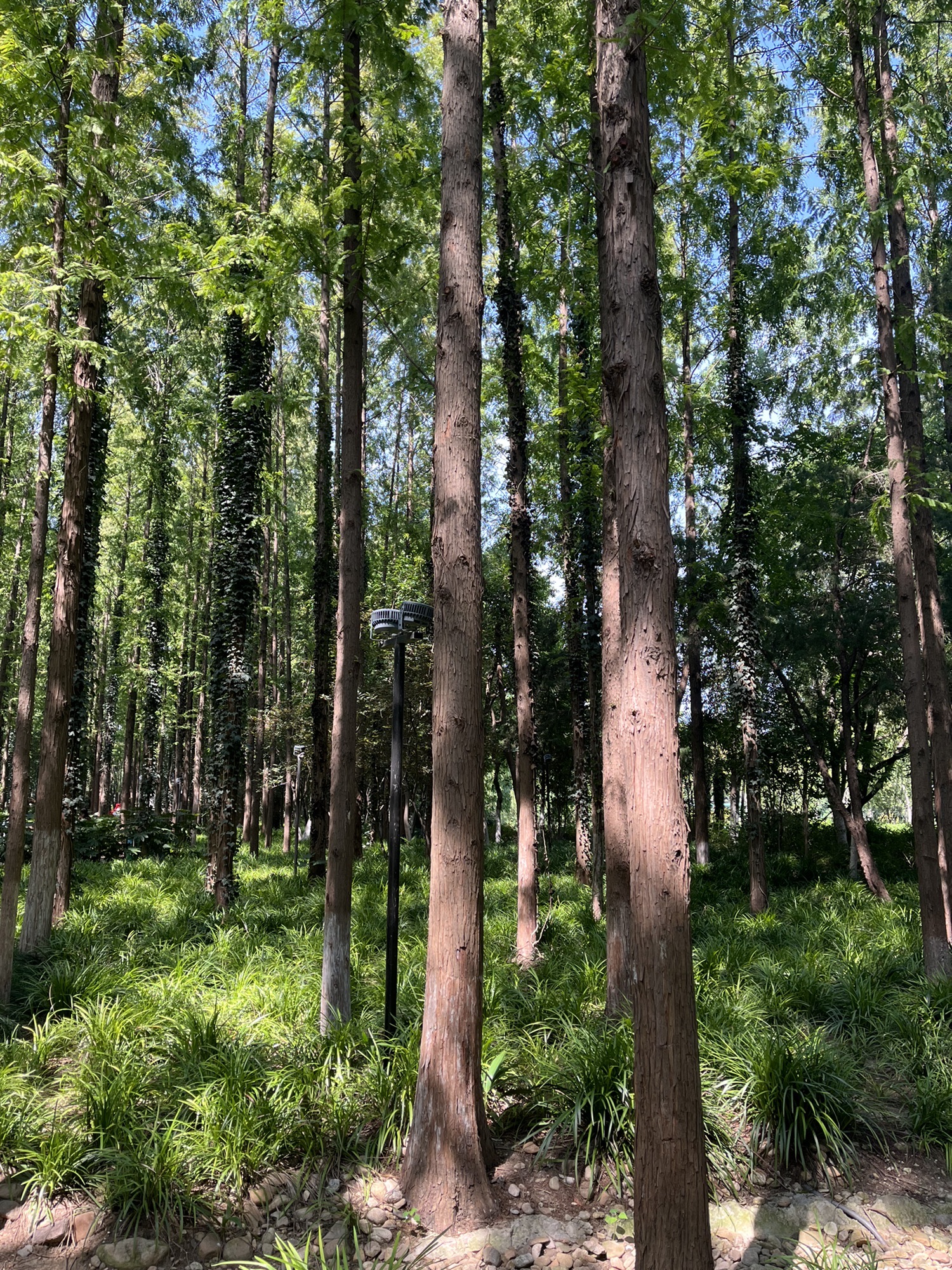 滨河公园旅行图片 2