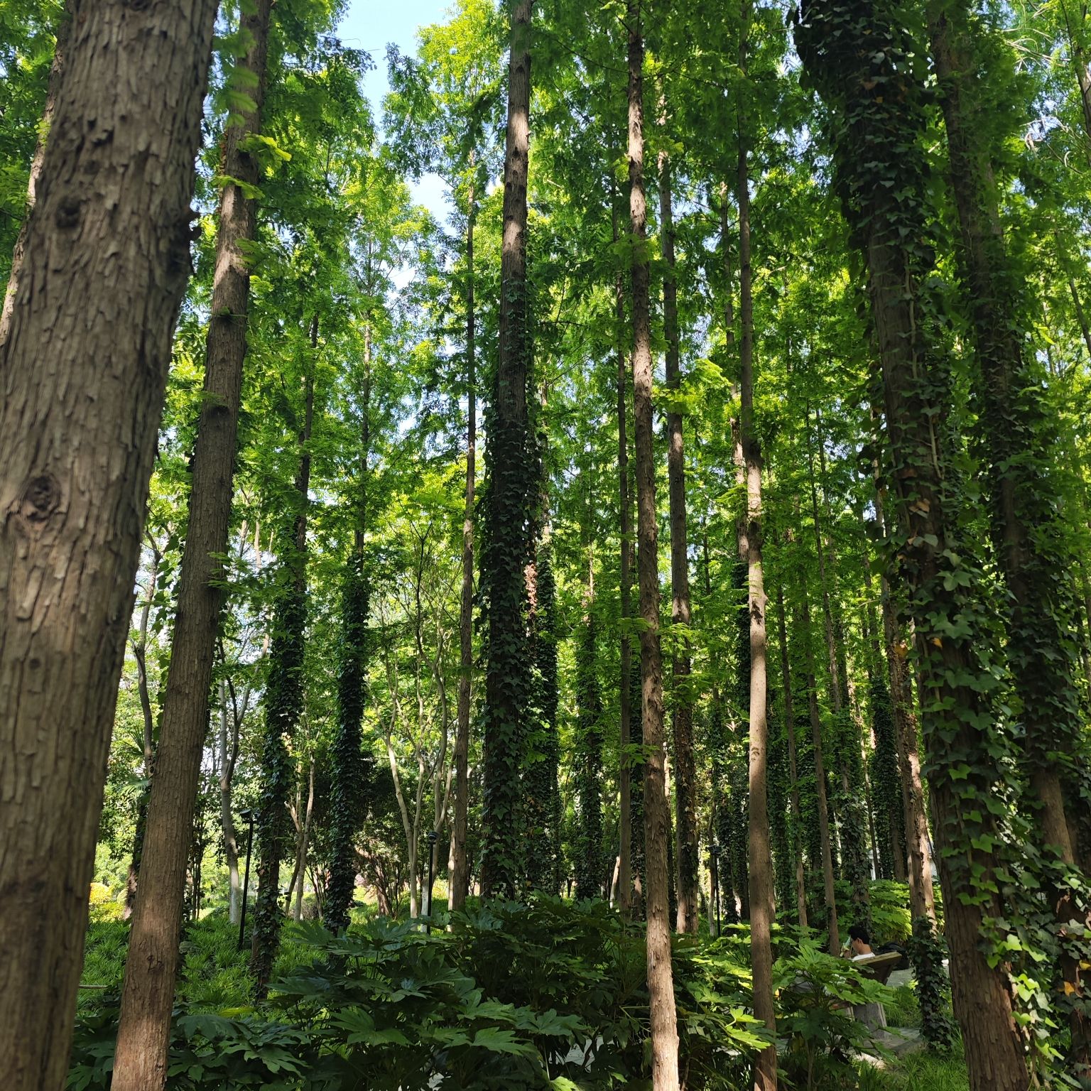 滨河公园旅行图片 3
