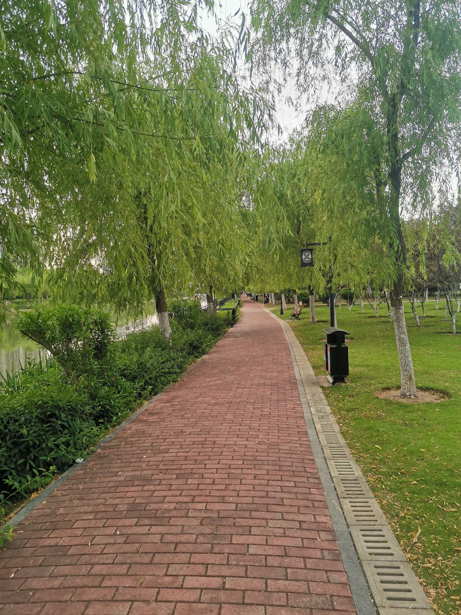 滨河公园旅行图片 3