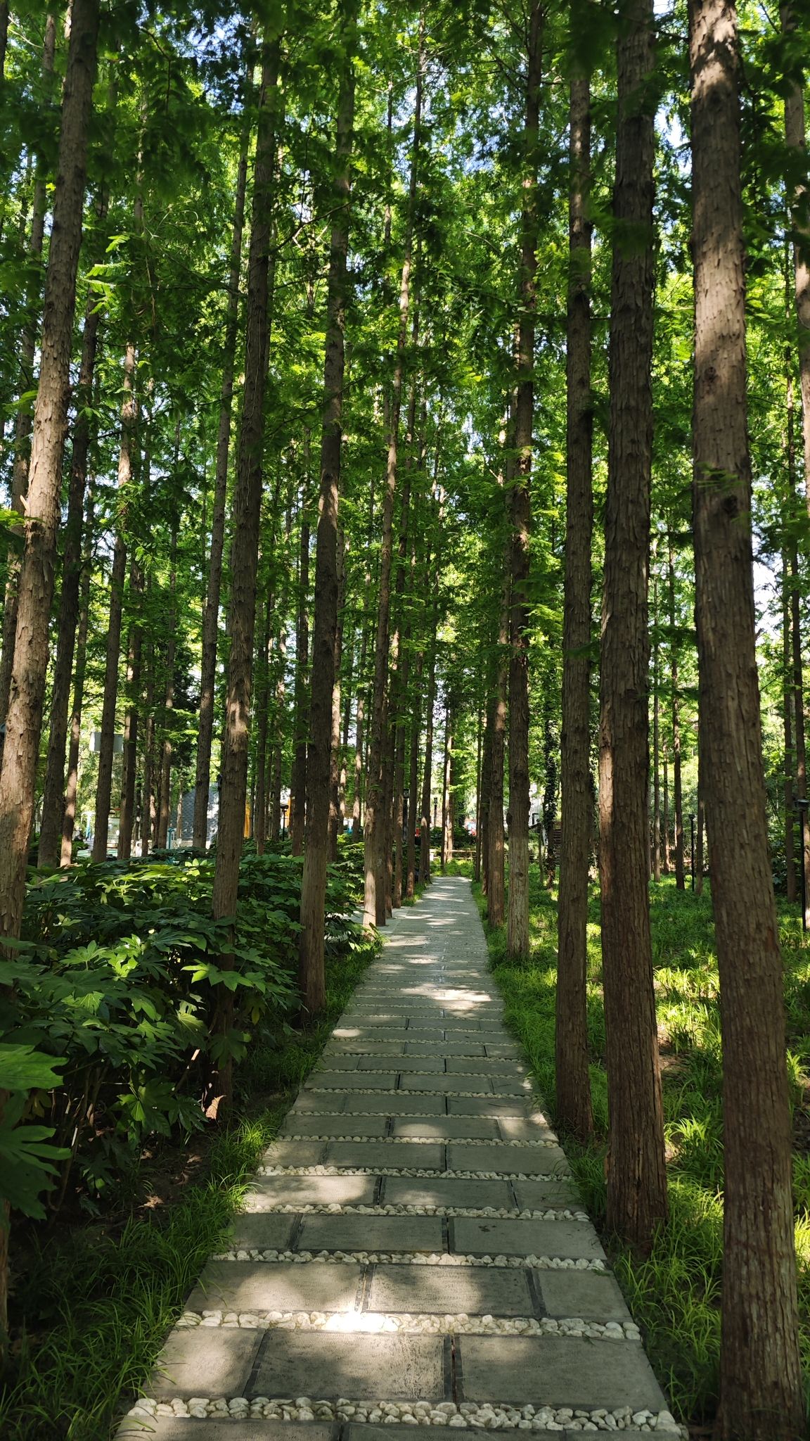 滨河公园旅行图片 2
