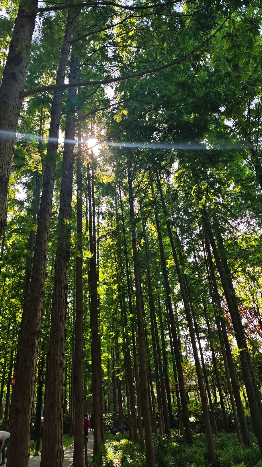 滨河公园旅行图片