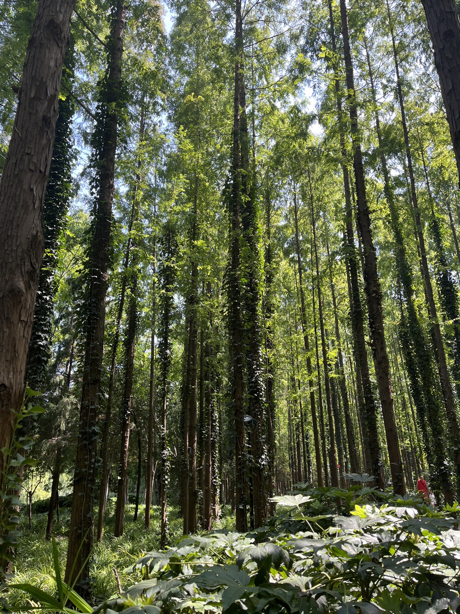 滨河公园旅行图片 1