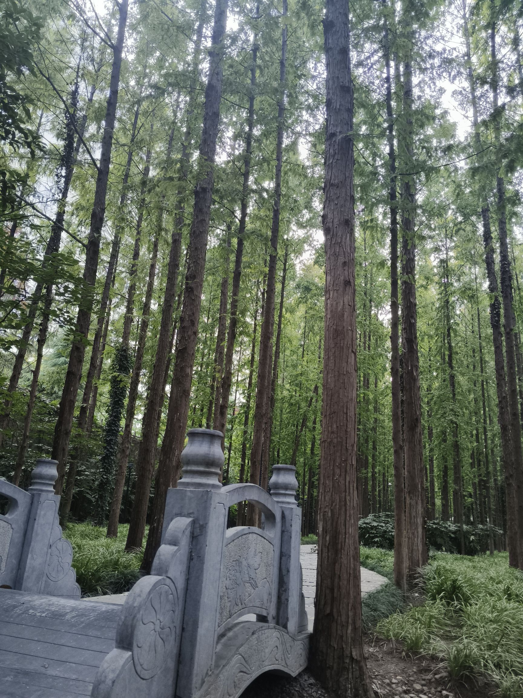 滨河公园旅行图片 2