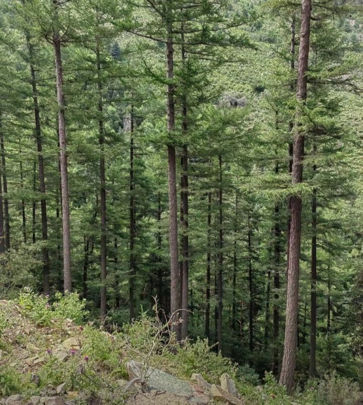 太行云顶旅行图片 3