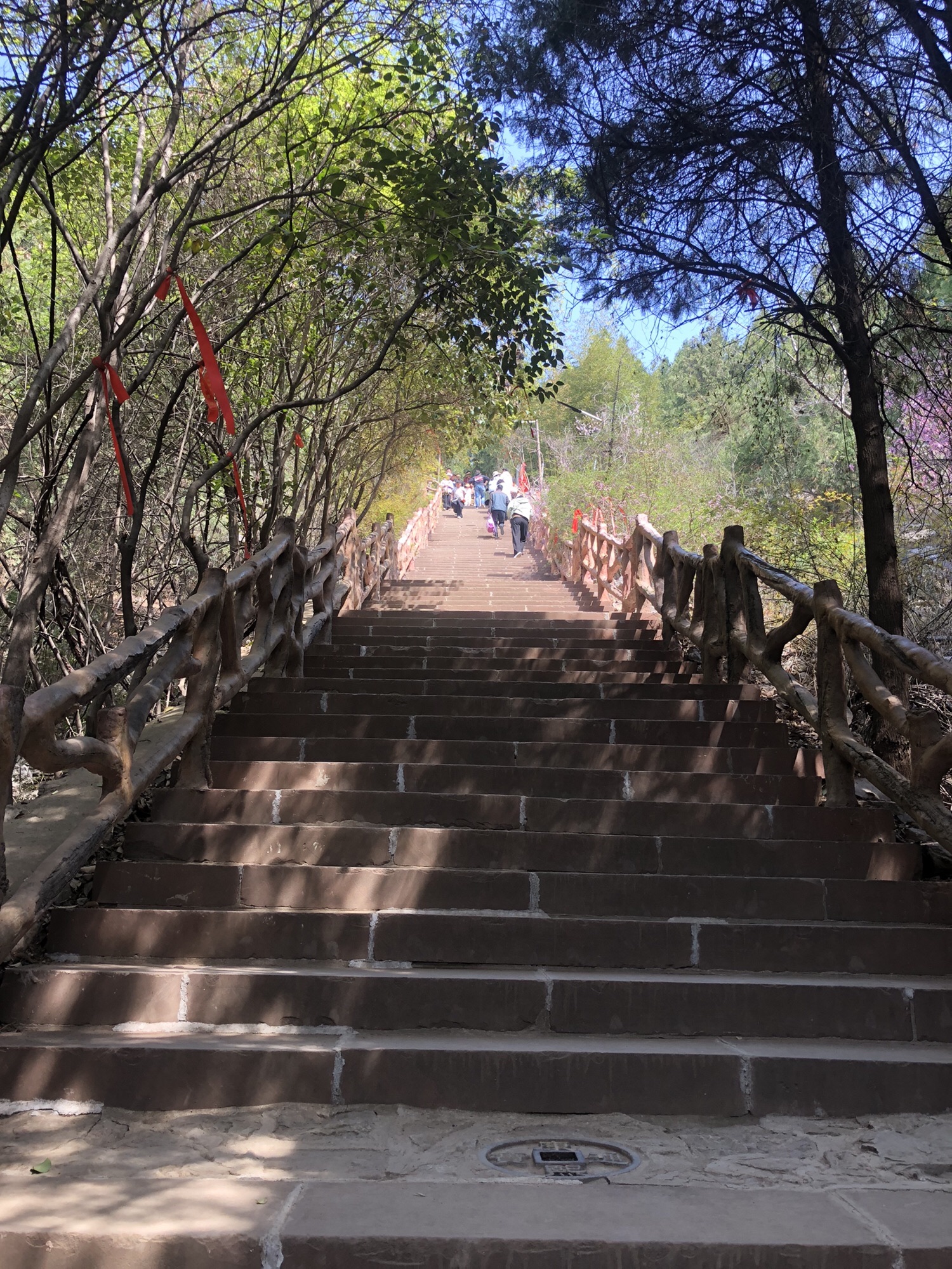 屏山风景区旅行图片 1