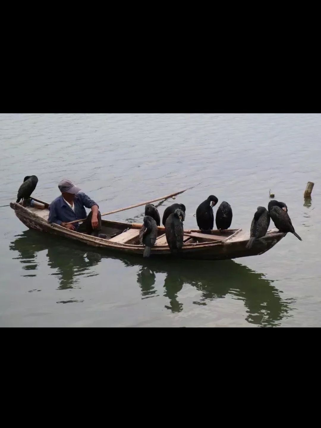 南湖湿地公园旅行图片 1