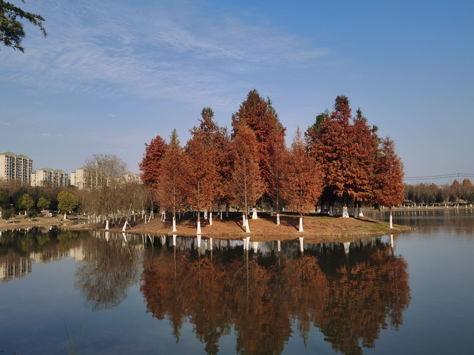 南湖湿地公园旅行图片 1