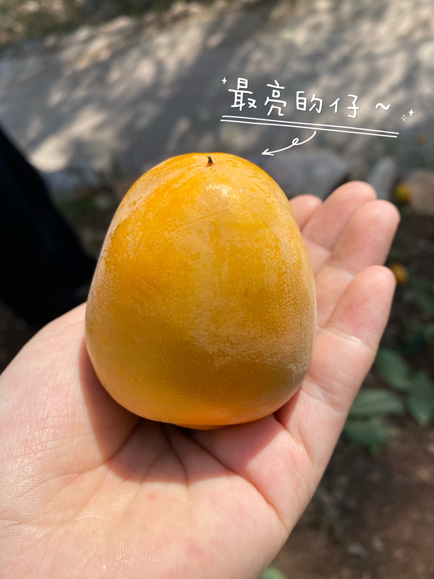 天乳山旅行图片 1