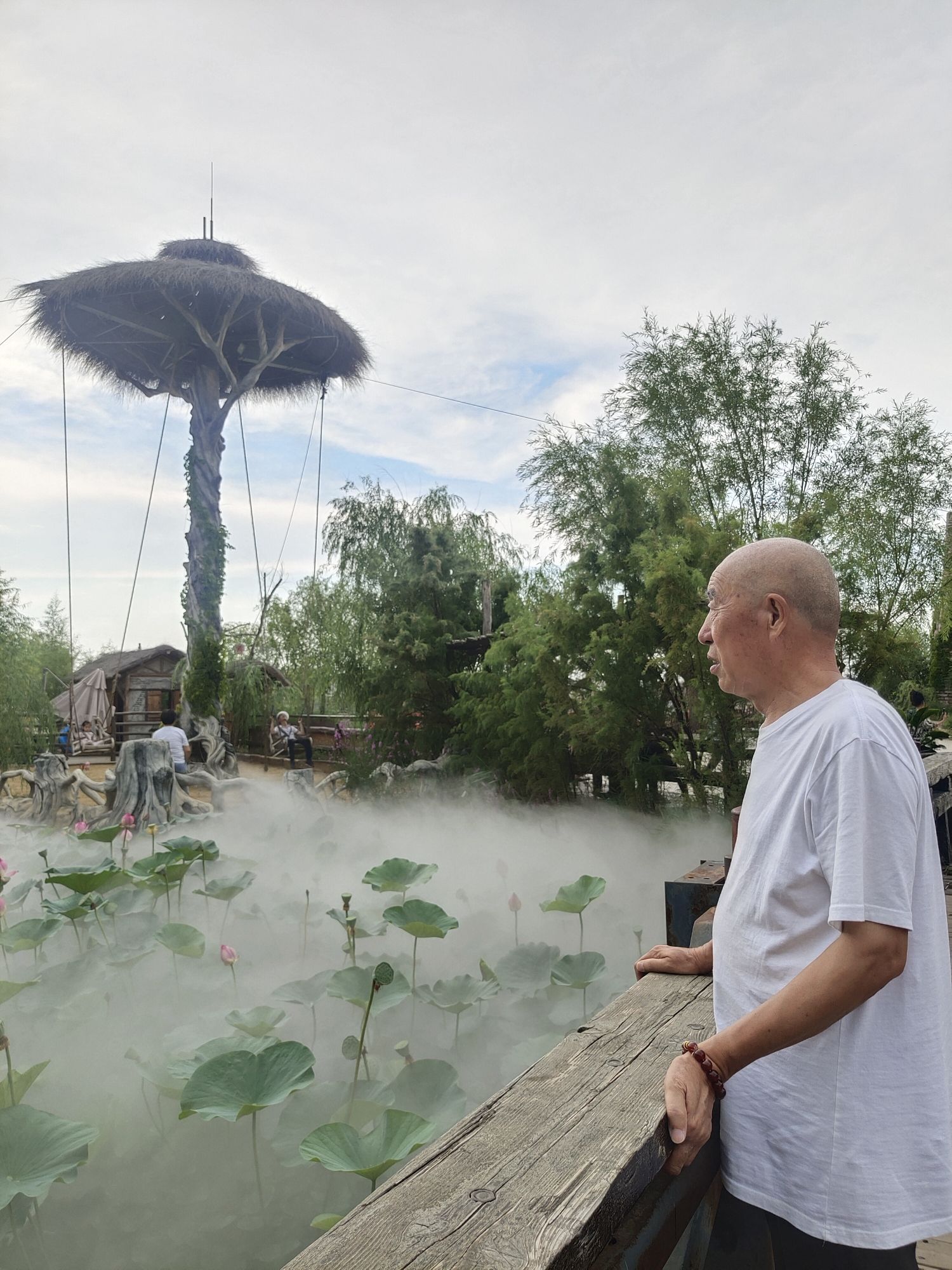 黄河谣文化旅游园旅行图片 3
