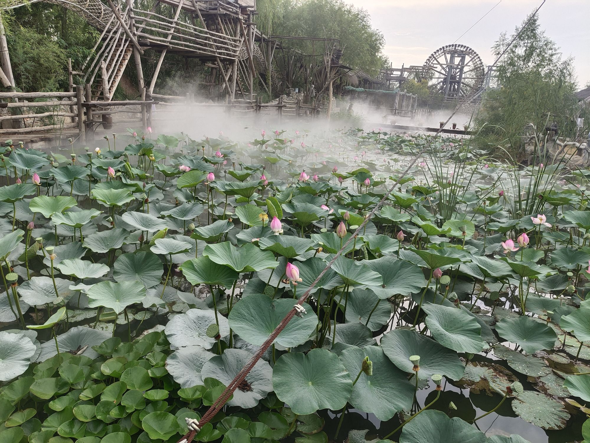 黄河谣文化旅游园旅行图片 2