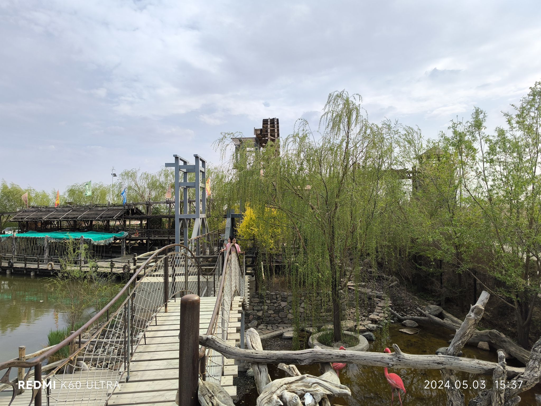 黄河谣文化旅游园旅行图片 2