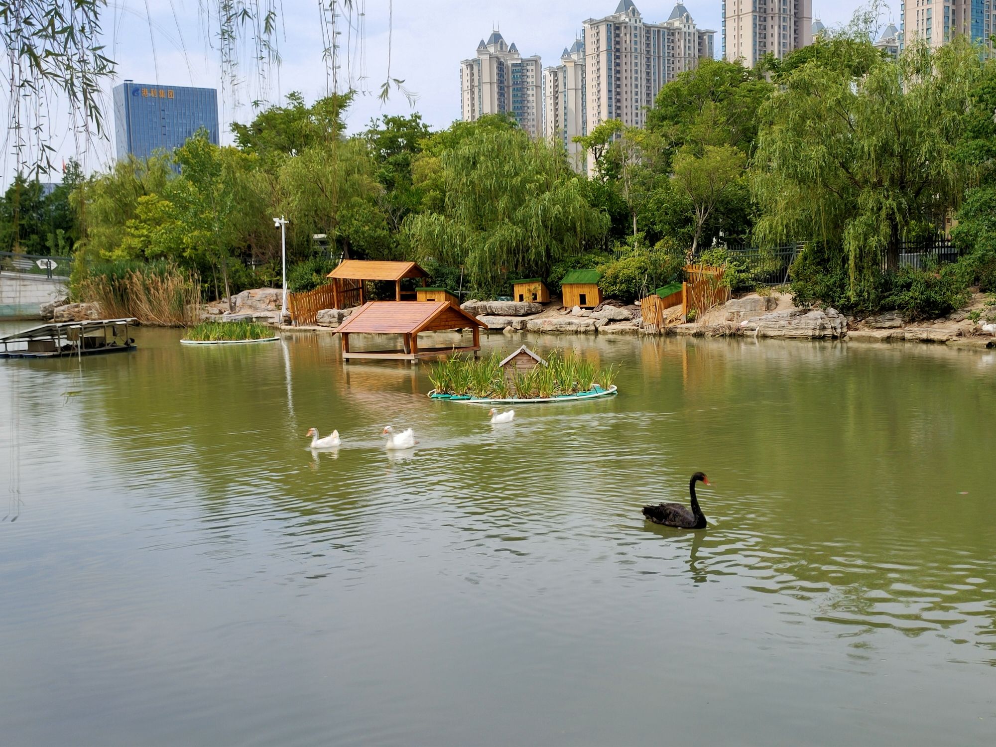 星海湖公园旅行图片 2